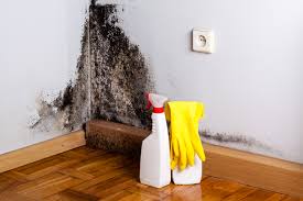 Best Basement Mold Removal  in Arlington, OH